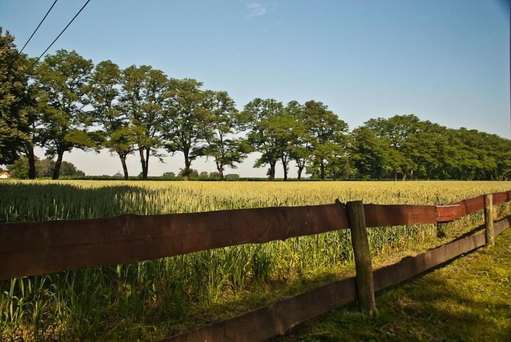 Gospoda Pazibroda Maków Mazowiecki Buitenkant foto
