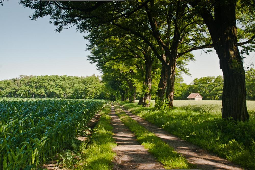 Gospoda Pazibroda Maków Mazowiecki Buitenkant foto